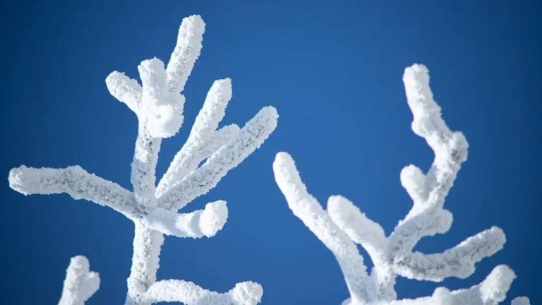 Windows PC Freezing Issue