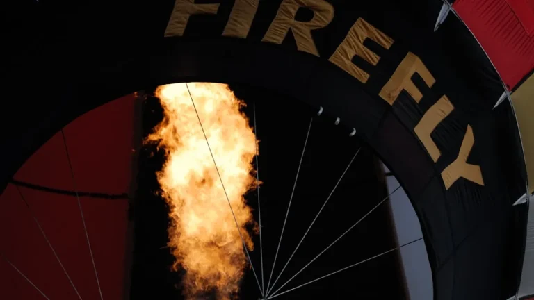 Firefox Update Causing Login Issues