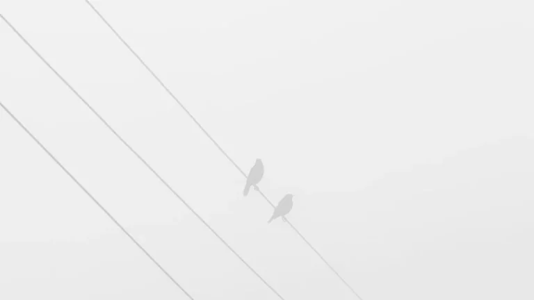 Why Does WiFi Signal Drop in Certain Rooms