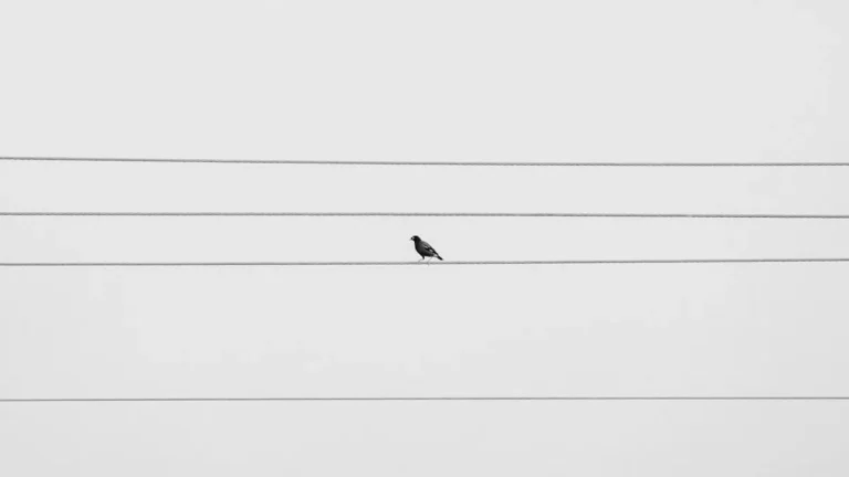 iPhone Sound Not Working