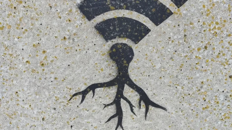 Windows Users Report WiFi Not Working After Update